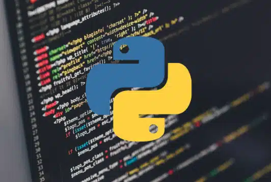The rise of Python and JavaScript: Pioneering the Digital Revolution
